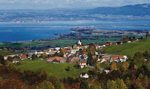 a small town on a hill next to a body of water at Haus Basilea in Wolfhalden 