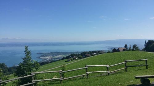 two benches on a hill with a view of the water at Haus Basilea in Wolfhalden 