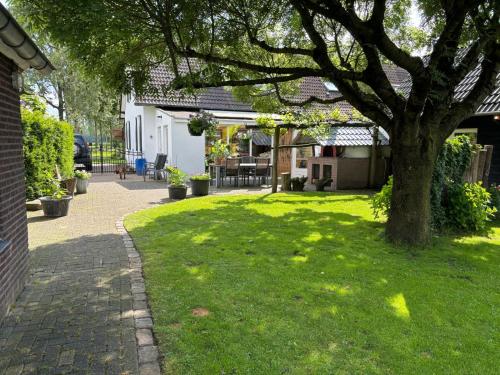 a green lawn with a tree in a yard at De Hazeldonck in Gemert