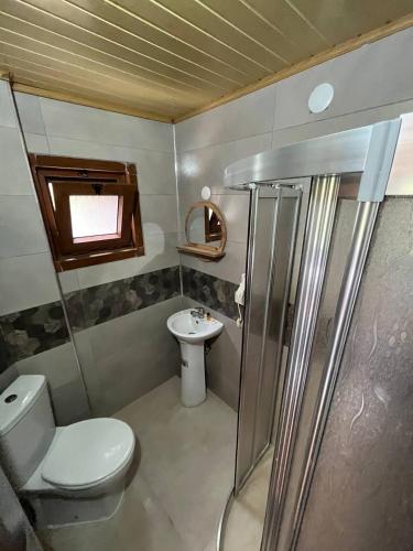a small bathroom with a toilet and a sink at Ayder Paradise Otel in Ayder Yaylasi