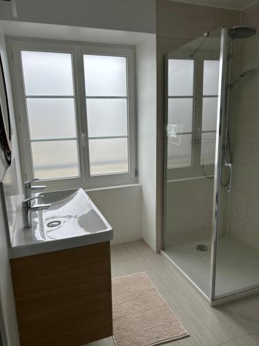une salle de bain avec une douche, un lavabo et un miroir dans l'établissement Appartement Trevieres 2eme étage, à Trévières