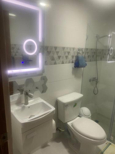 ein Badezimmer mit einem weißen WC und einem Waschbecken in der Unterkunft Residencial Maite Vl in Santiago de los Caballeros