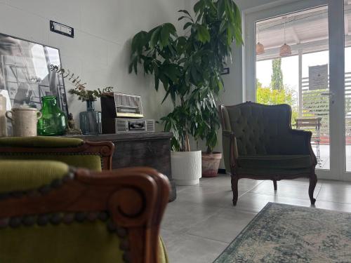 uma sala de estar com uma cadeira e uma planta em 87029house em Scalea