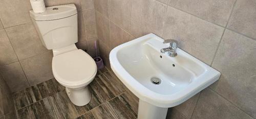 a bathroom with a toilet and a sink at HAGAR LODGE in Mid Illovo