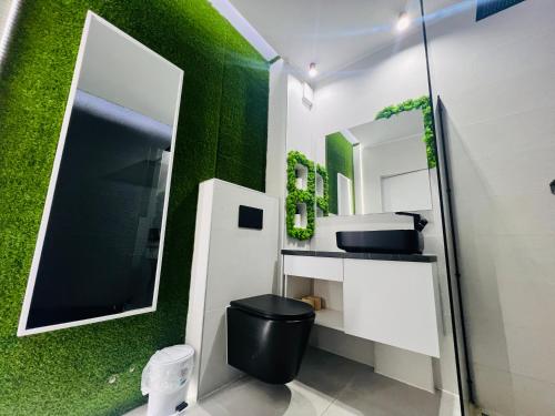 Łazienka z zieloną ścianą, toaletą i lustrem w obiekcie The Garden Apartment w mieście Oradea