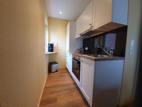 a kitchen with a sink and a stove top oven at TinyHausDorf Wendland in Gartow