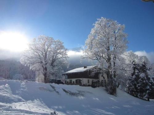 a house covered in snow next to two trees at 3 12 Zimmer Wohnung "Haus Fless" in Klosters