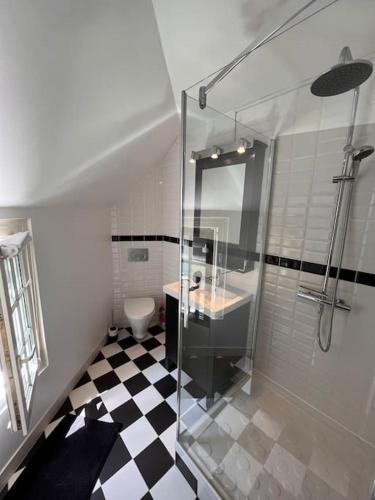 une salle de bain avec une douche en verre et des toilettes dans l'établissement Charme et Calme au Cœur de ville, à Moret-sur-Loing