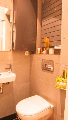 une salle de bain avec toilettes et lavabo dans l'établissement Atelier artiste à Montmartre, à Paris