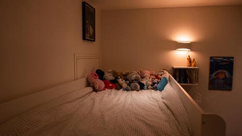 un groupe d'animaux farcis assis sur un lit dans l'établissement Atelier artiste à Montmartre, à Paris