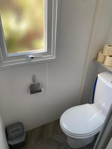 a bathroom with a white toilet and a window at Résidence les dunes de Contis in Saint-Julien-en-Born