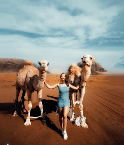 a woman is standing with two camels in the desert at Desert Bedouin adventure in Wadi Rum