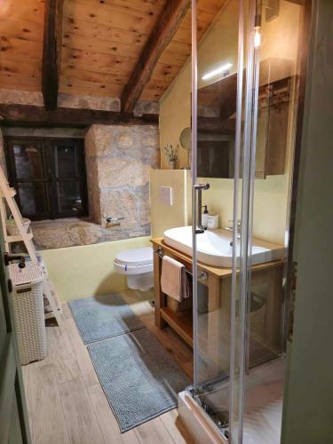 a bathroom with a shower and a sink and a toilet at Kuća za odmor Ameli in Mošćenička Draga