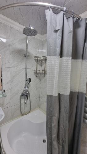 La salle de bains est pourvue d'une douche avec rideau de douche. dans l'établissement Sam Rental 1, à Samarcande