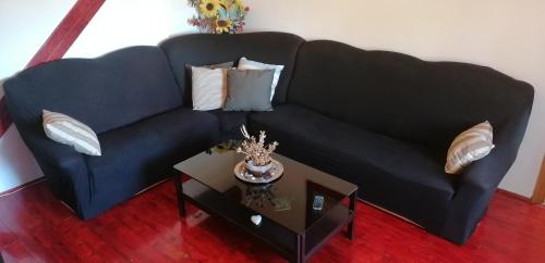 Cozy Seafront Retreat in Cavtat