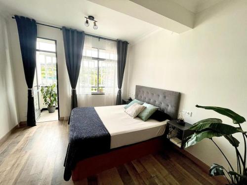 a bedroom with a bed and a plant in it at Acogedor retiro junto al mar in Cedeira