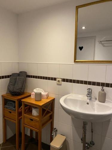 a bathroom with a sink and a mirror at Schloßbergwohnung Löwenhaus in Homberg