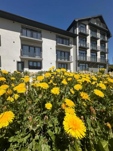 a field of yellow flowers in front of a building at Salut in Bukovel