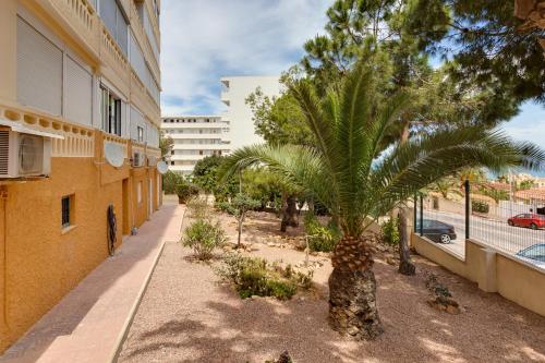 Estudio La Mata