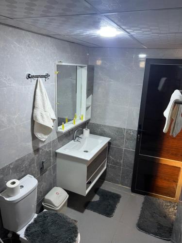 a bathroom with a sink and a toilet and a mirror at Desert Bedouin adventure in Wadi Rum