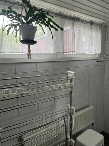 a bathroom with a window with a plant in a pot at Omakotitalo Kiteen keskustassa in Kitee