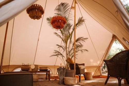 a room with a tent with plants in it at Worlds Apart - River Front Guest Farm & Camping in Bonnievale