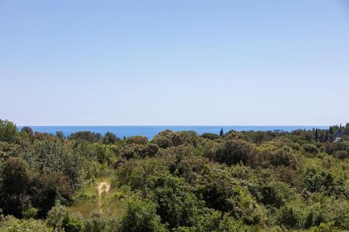Villa Mareonda