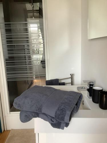 - une serviette assise sur un comptoir de cuisine à côté d'un évier dans l'établissement L’appart, à Bondues