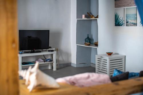 un salon avec une télévision et un canapé dans l'établissement Le Pastel Riverside Centre historique proche des plages, à Agde