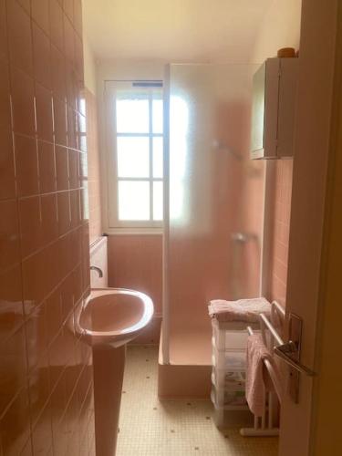 une salle de bain avec un lavabo et une douche avec une fenêtre dans l'établissement Villa Sabloyats, à Neufchâtel-Hardelot