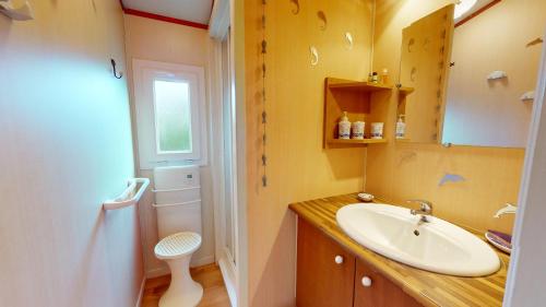 une salle de bain avec un lavabo et des toilettes dans l'établissement La Paranthese Marine, à Brem-sur-Mer