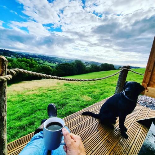 a person holding a cup of coffee next to a dog at Oak Hut Wiveliscombe in Wiveliscombe