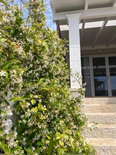 Fotografie z fotogalerie ubytování Seremetis Apartments Arillas v destinaci Arillas