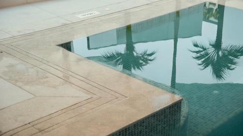 a reflection of palm trees in a swimming pool at Kleopatra Dreams Beach Hotel in Alanya