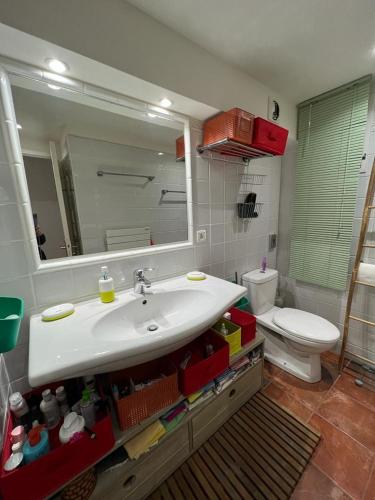 une salle de bain avec un lavabo, des toilettes et un miroir dans l'établissement Appartement vue sur mer, piscine, garage privé, à Bormes-les-Mimosas