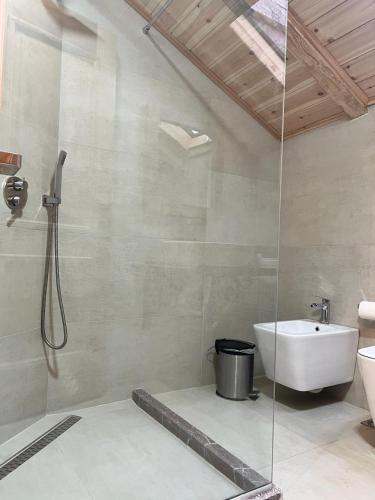 a bathroom with a shower and a toilet and a sink at Hotel Bacelli Voskopoje in Voskopojë