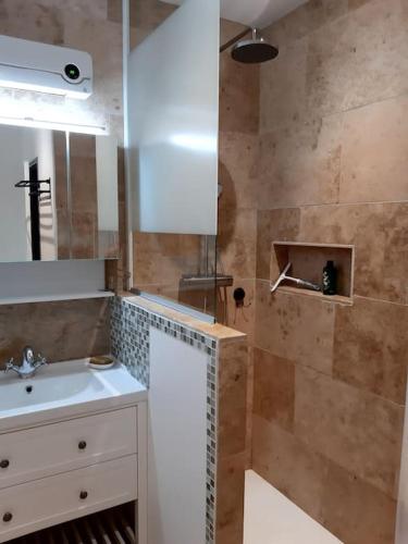 une salle de bain avec un lavabo et une douche dans l'établissement Appartement Au Murmure des Eaux à Fontaine-de-Vaucluse, à Fontaine-de-Vaucluse