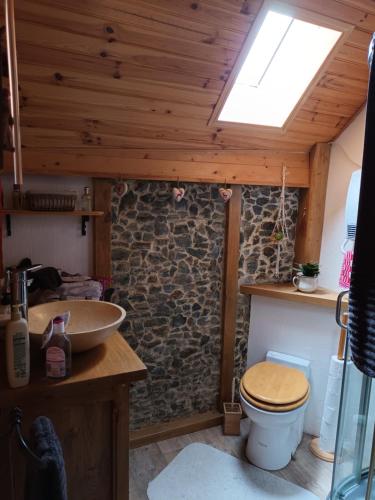 une salle de bain avec toilettes et lavabo dans l'établissement Maison de village à la montagne, à Fos