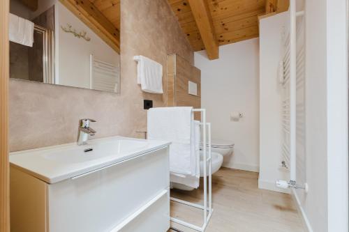 a bathroom with a sink and a toilet at PINZOLO MOUNTAIN LODGE in Pinzolo