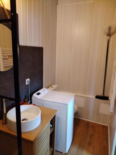 La petite salle de bains est pourvue d'un lavabo et d'un lave-linge. dans l'établissement Chez Cristele et David, à Capbreton