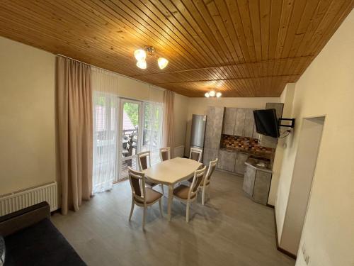 a kitchen with a table and chairs in a room at Belvedere-Karpaty in Skhidnitsa