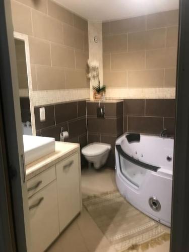 une salle de bain avec une baignoire, des toilettes et un lavabo dans l'établissement Appart T3 avec jardin proche commerces et aéroport, à Borgo