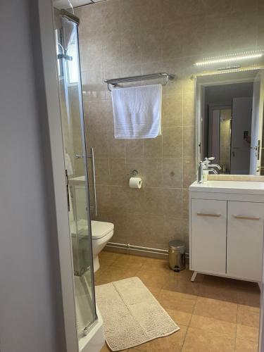 La salle de bains est pourvue d'une douche, d'un lavabo et de toilettes. dans l'établissement Panorama Studio Sighisoara, à Sighişoara