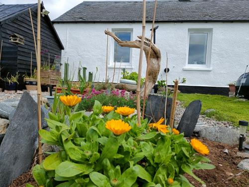 a garden with orange flowers in front of a house at Snowberry Cottage in Borve