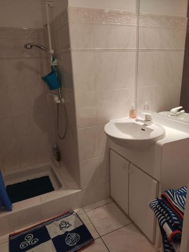 une petite salle de bain avec un lavabo et une douche dans l'établissement Appartement avec piscine proche thalasso et plages, à Carnac