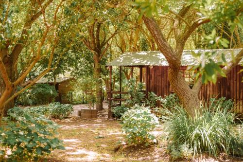 a garden with a tree and a gazebo at Worlds Apart - River Front Guest Farm & Camping in Bonnievale