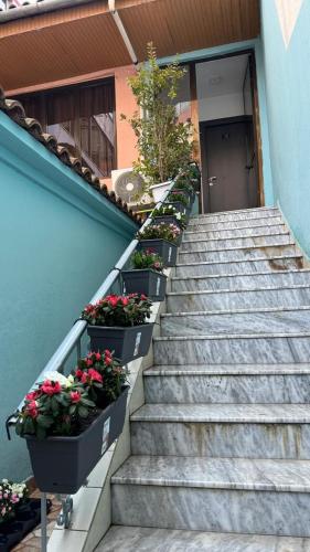 a set of stairs with potted plants on them at Host Elios Tirana in Tirana