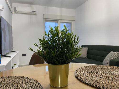 Fabulous Apartment in Granada