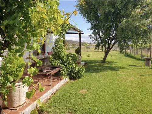 a garden with a picnic table and a bench at Worlds Apart - River Front Guest Farm & Camping in Bonnievale