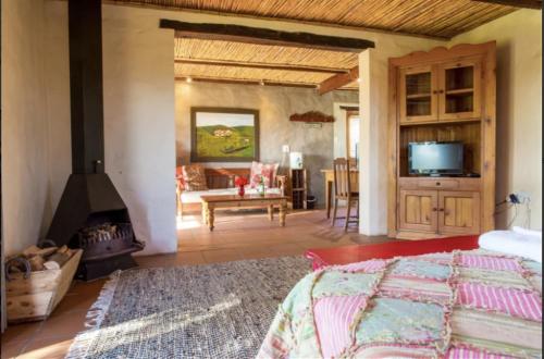 a living room with a bed and a fireplace at Worlds Apart - River Front Guest Farm & Camping in Bonnievale